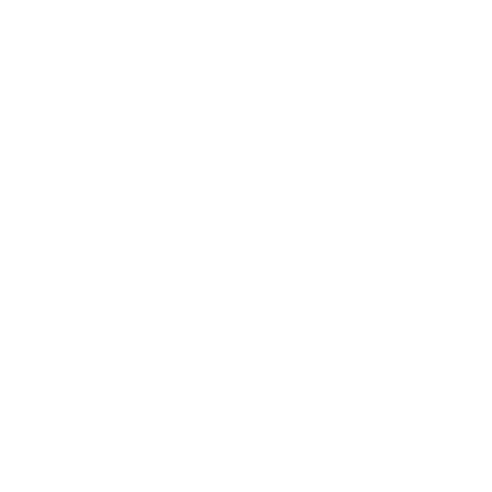 Bern 96