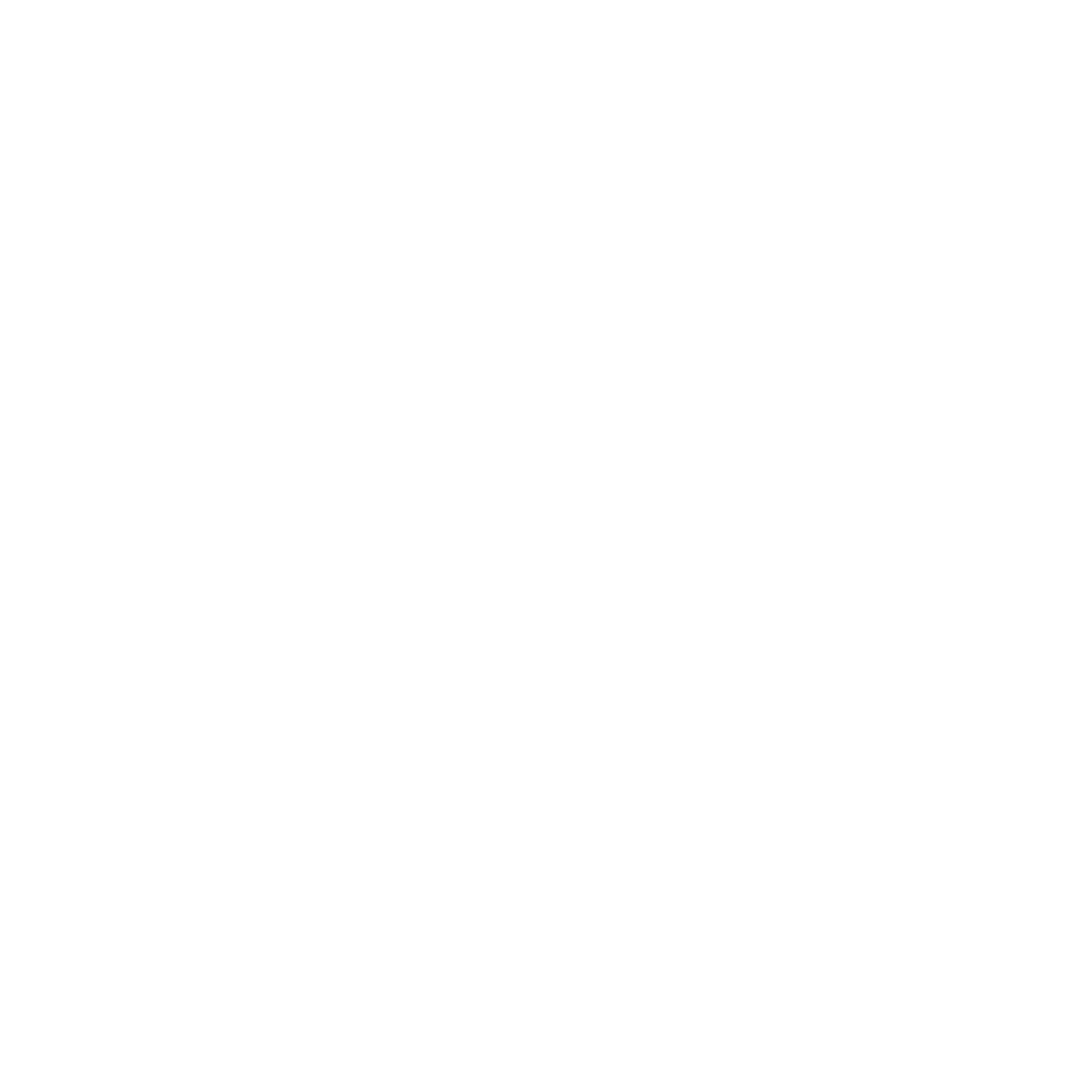 Next Level